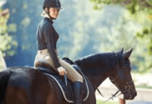 The Ultimate Equestrian Challenge: Exploring the Three Phases of Eventing