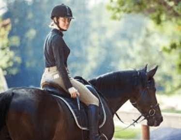 The Ultimate Equestrian Challenge: Exploring the Three Phases of Eventing