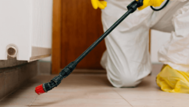 Top Signs You Need a Pest Inspection