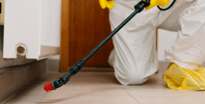 Top Signs You Need a Pest Inspection