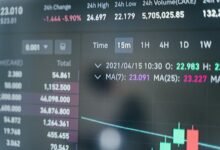 phone number insights available