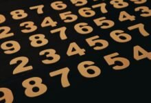 understanding a phone number