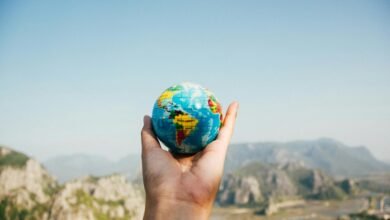 corporate exploration and insights
