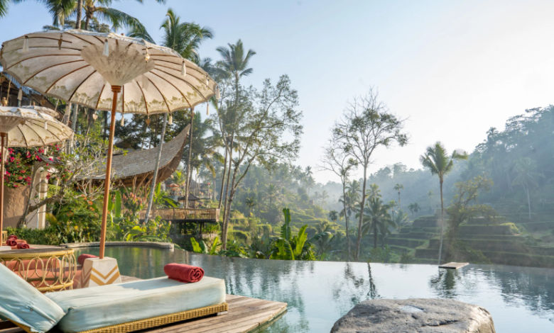 The Best Cafe in Ubud for an Unforgettable Experience