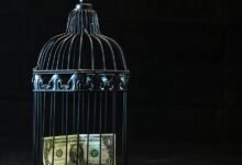 financial freedom strategies revealed