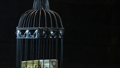 financial freedom strategies revealed