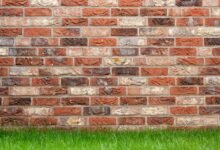 claim wyrkordehidom foundation discount