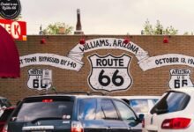 contact route 18774037149