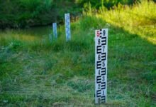 monitor contact flow instantly