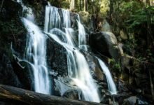 transformative competitive market advantage