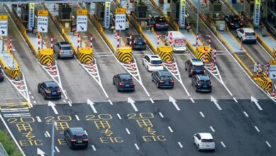 vertex flow growth lane