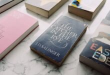 a beginner s guide summary